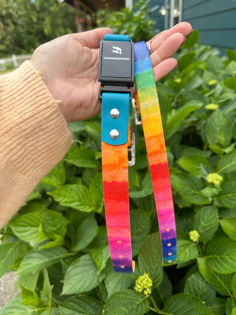 Fi Compatible Collar Rainbow BioThane Dog Collar