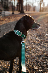 Fi Compatible Collar-Evergreen Plaid - BioThane Dog Collar