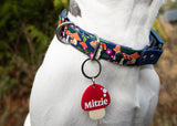Fi Compatible Collar-Mushrooms - BioThane Dog Collar