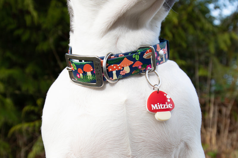 Fi Compatible Collar-Mushrooms - BioThane Dog Collar